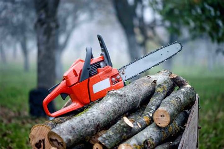 Who invented the chainsaw and why