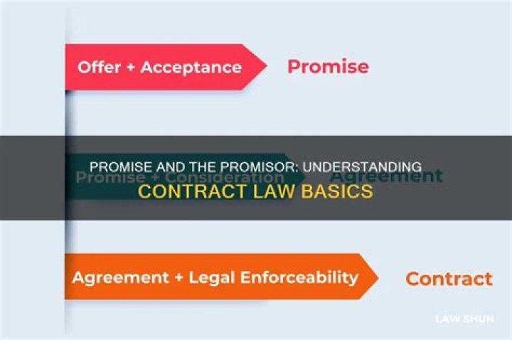 Who is the promisor in a contract