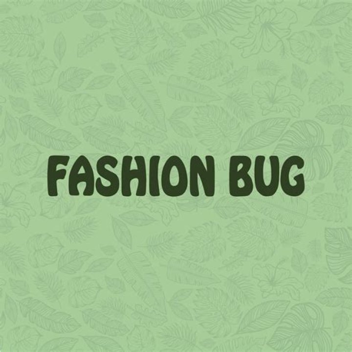 Who owned fashion bug