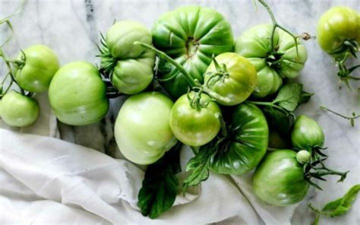 Who started frying green tomatoes