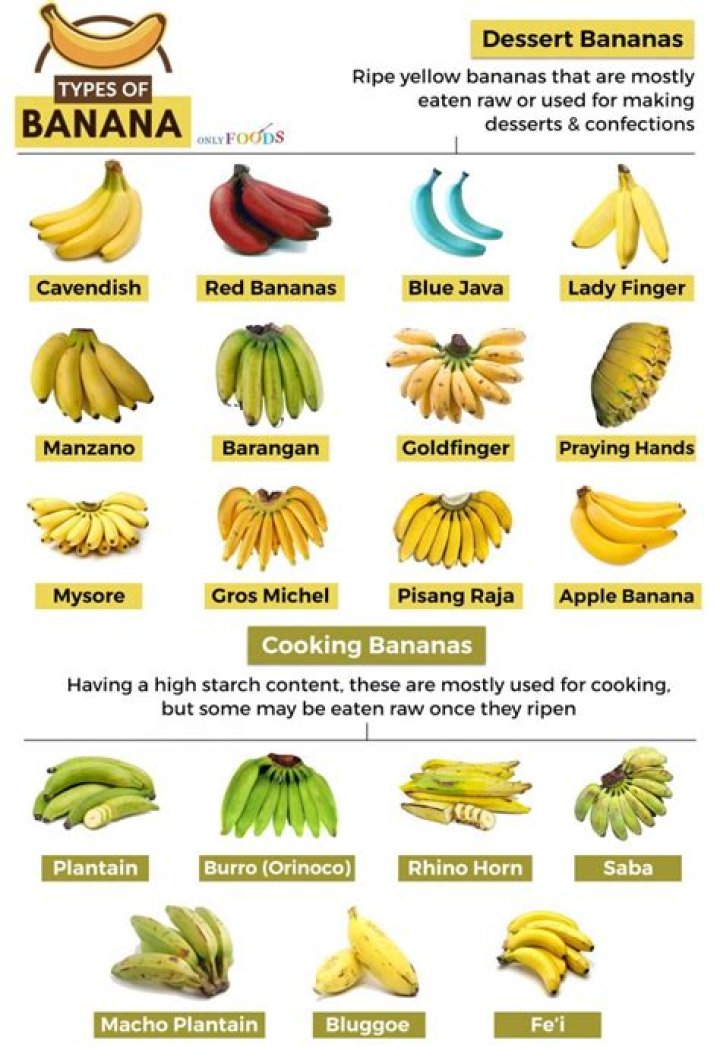 Why did bananas become so popular