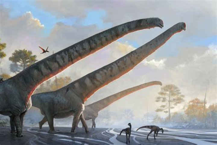 Why did dinosaurs have long necks
