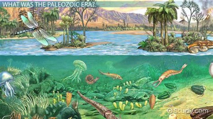Why did the Paleozoic era end