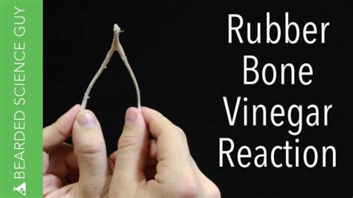 Why do bones get bendy in vinegar