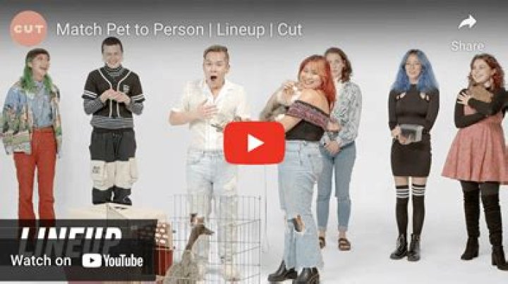 Why do dogs suddenly start hiding