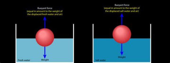 Why do we float in salt water