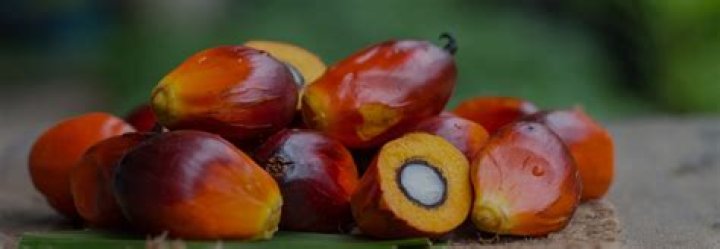 Why does Nutella have palm oil