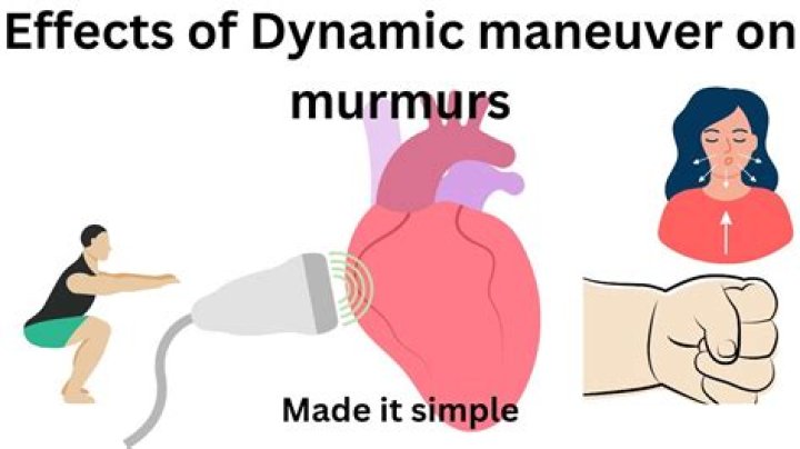 Why does Valsalva increase murmur