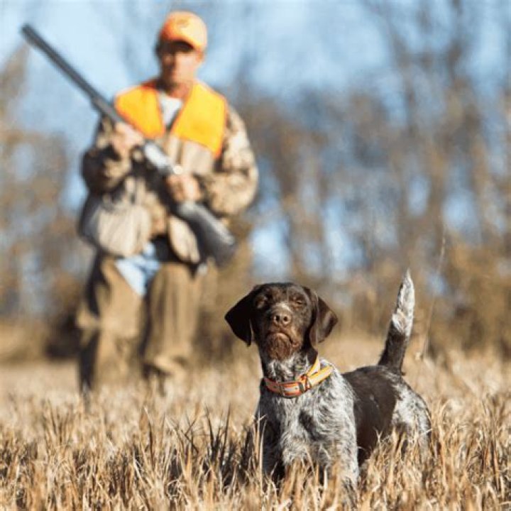 Why is hunter education important