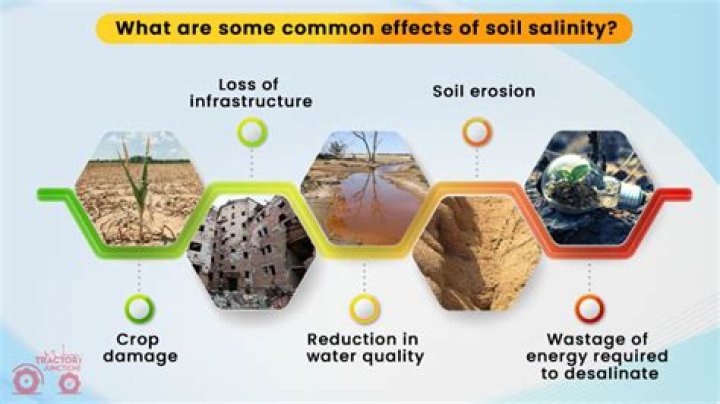 Why is increased salinity bad