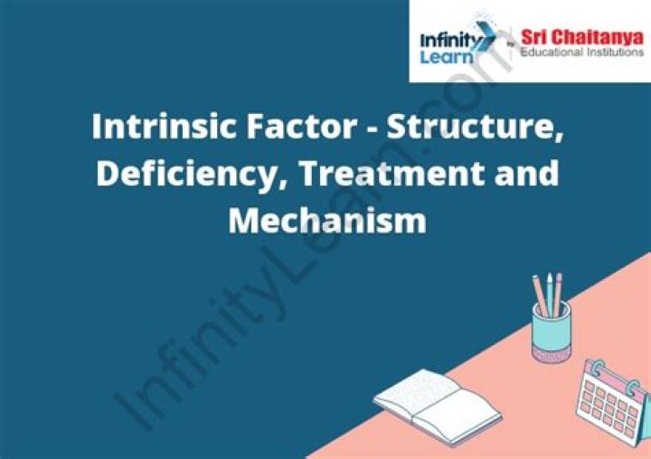 Why is intrinsic factor important