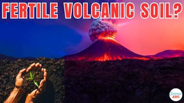 Why is volcanic soil more fertile