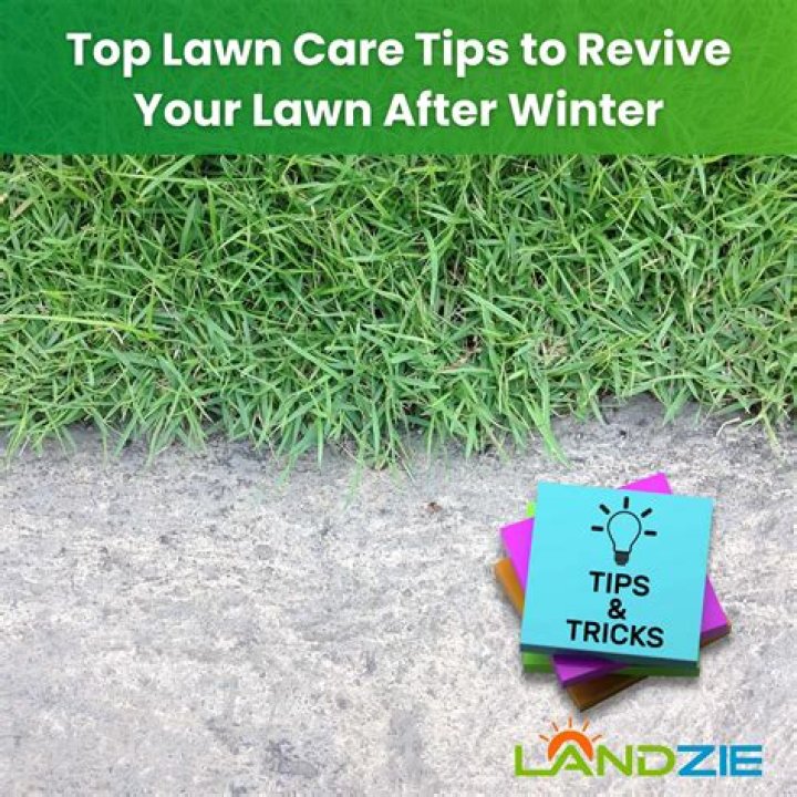 Will too much Revive hurt my lawn