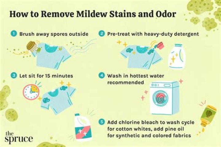 Will wet clothes mildew overnight